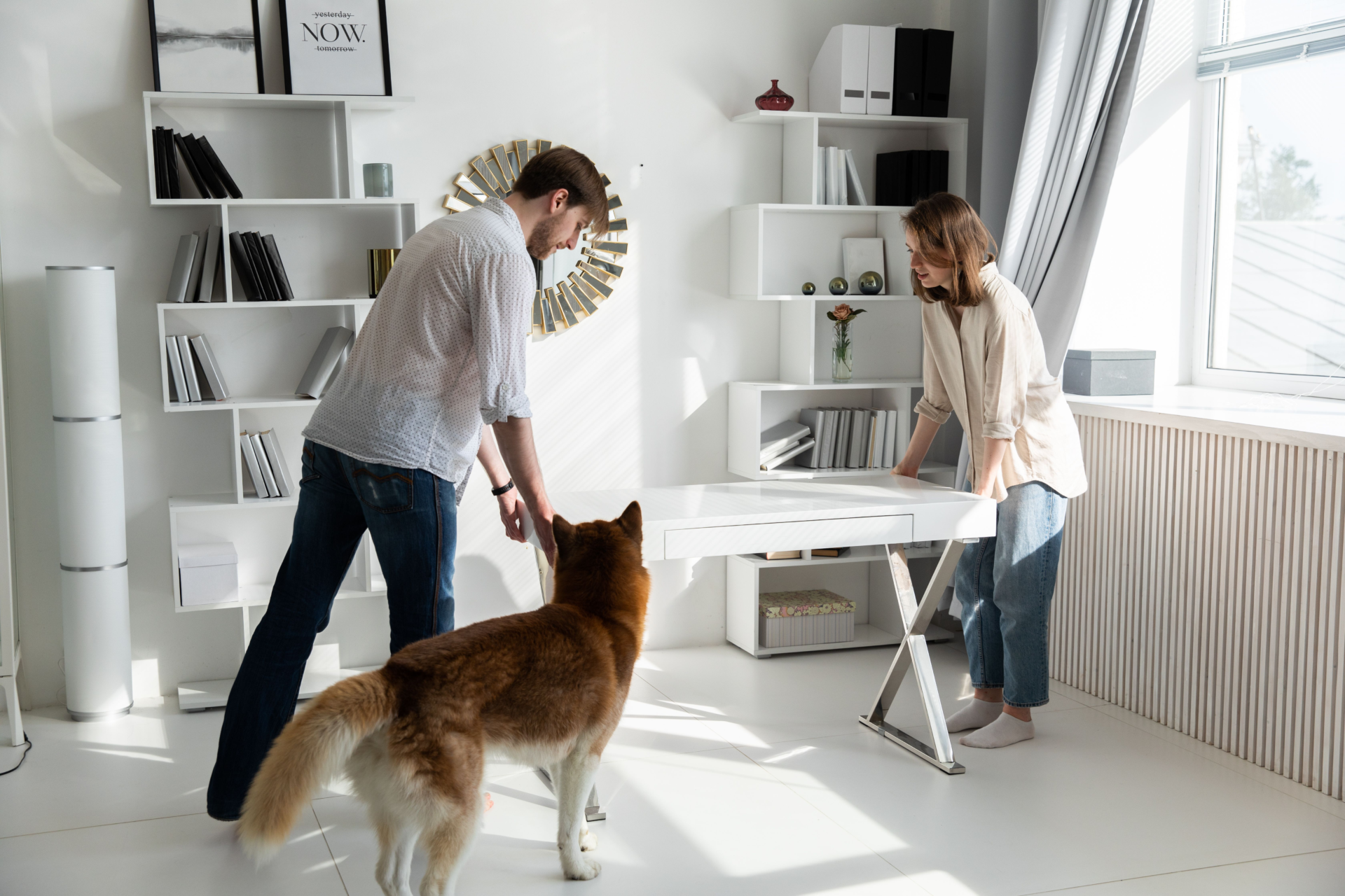 A tenant with a dog in a rented flat in England under the Renters' Rights Act pet rules